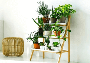 Once all is said and done, plants can be potted once more