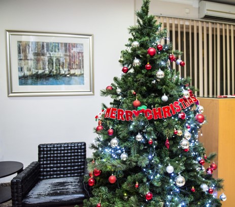 rented christmas tree