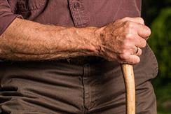 An arm that's seen its fair share of elbow grease