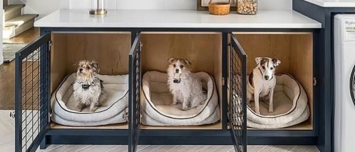 dog room within home laundry room