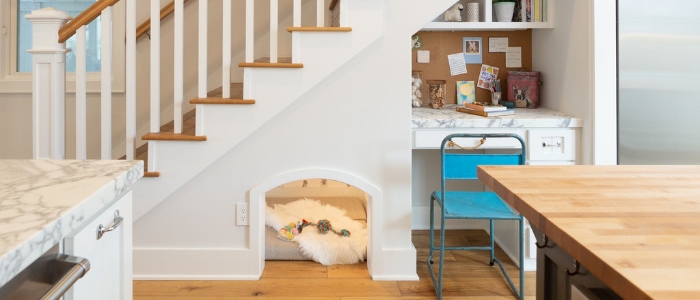 designated space for dog in home