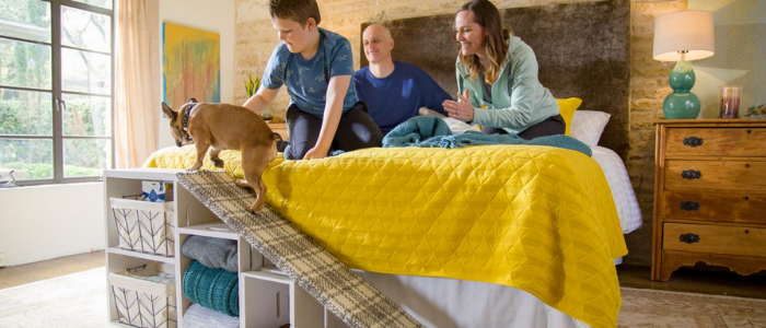 dog stairs leading to bed with storage underneath