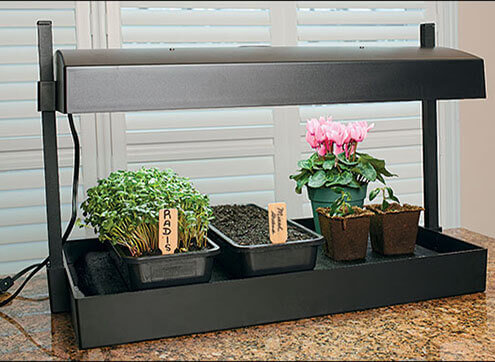 Artificial lighting over plants
