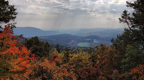 The nature of New Jersey