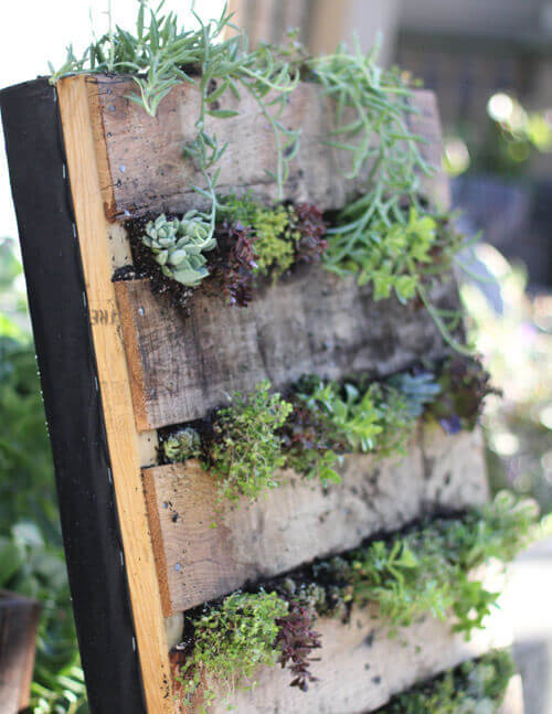 A wood pallet used for the garden