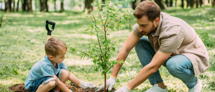 father and son planting a tree